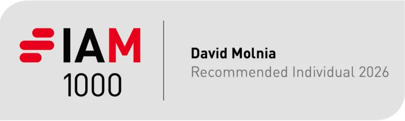 IAM Patent 1000: David Molnia, Recommended Individual 2026